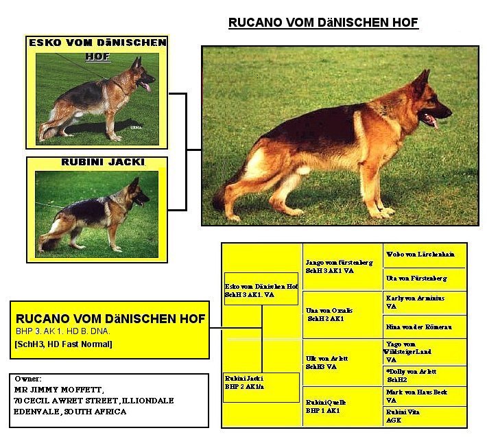 rucano_b.jpg